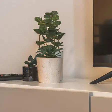 Piazza Goldoni Mazzini *free Wifi* * Triest