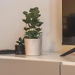 Piazza Goldoni Mazzini *free Wifi* * Trieste