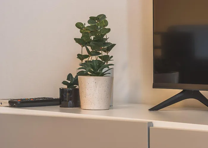 [piazza Goldoni] Mazzini *free Wifi* * Trieste